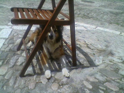 in search for shadow