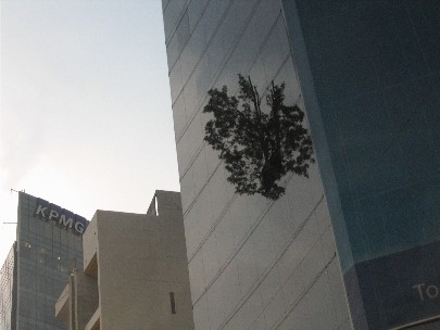 The triumph of nature over civilization