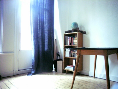 snowing seeds outside