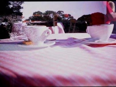 have a coffee with inacat: cups from fribourg, trees from tokyo