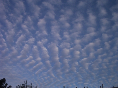 the clouds promised good weather but they lied