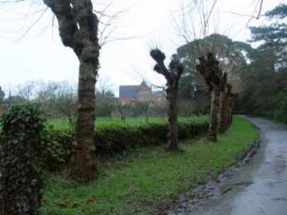 The road to monastery.