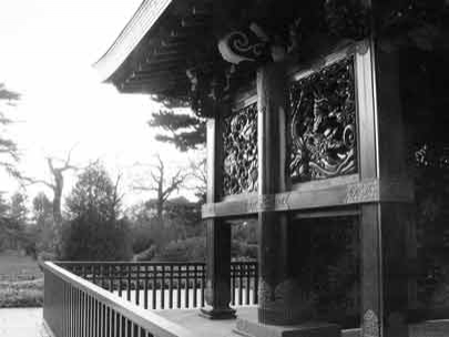 The English trees and a  temple Japanese