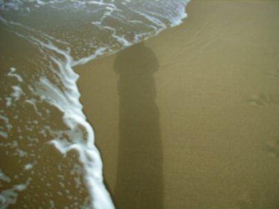 all the lives I'm not living