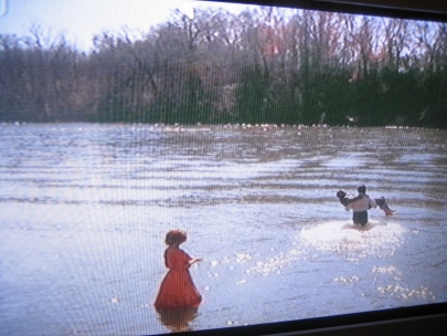 what a superb movie (the big fish)