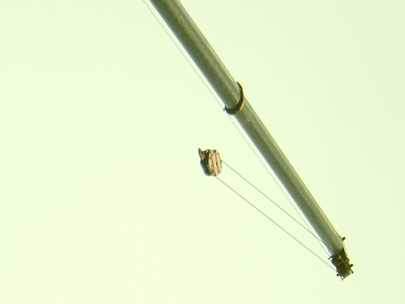 an angle from heaven