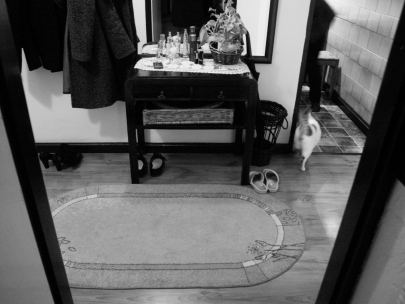 just around the corner