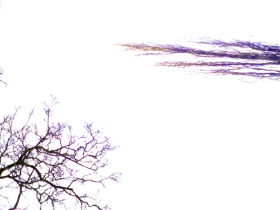 for Elon who left us in sorrow