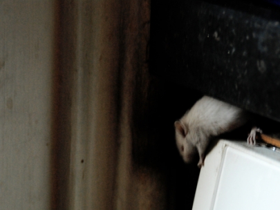 feeling at home huh!??