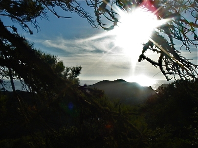 We Feel At Ease - CA to be continued... May 2009 ;)