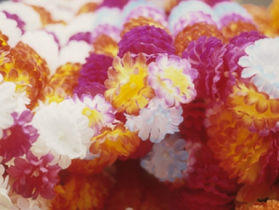 2007 scanned (penang)