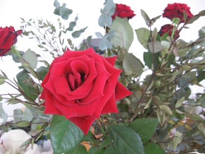 echte liefde houdt stand