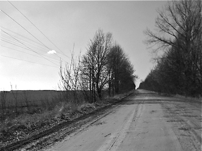 The Road of Life - Where Will You Take Us?