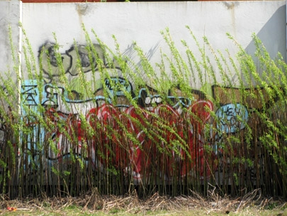 and recreational spaces.