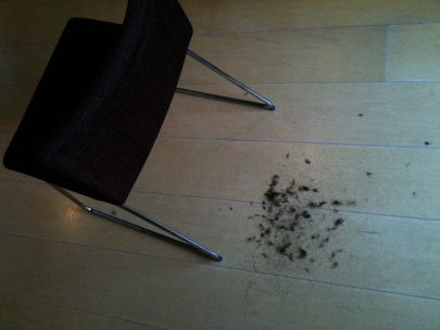 the day that i became eddie�s hairdresser