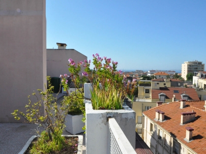 from here you can almost see the sea (cannes)