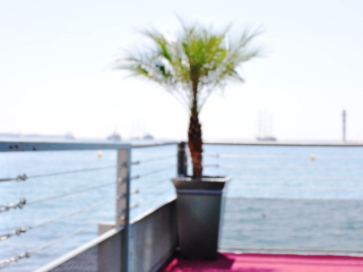 meeting in the abu dhabi pavillion