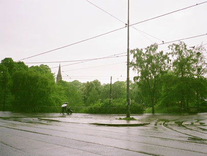 covered by the rain. 