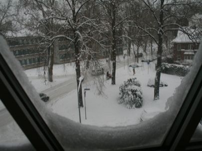 Staring at the police station