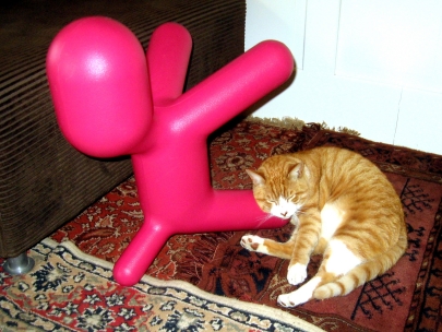 true love: cat and dog