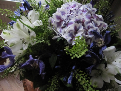 a new job, college voor de rechten van de mens 