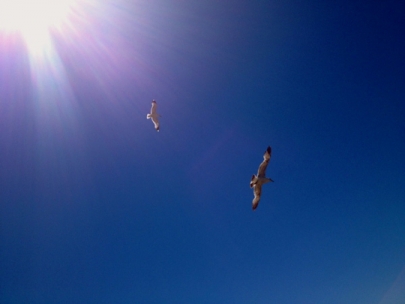 It used to be just the two of us...