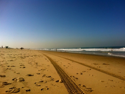 Morning ritual again and again :)