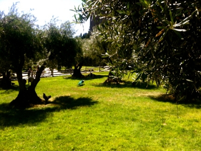 Needed to clear my head