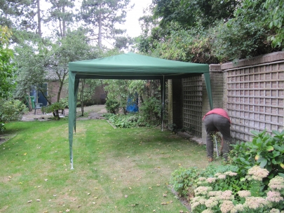 preparing the Hammarskjold COmmissions meeting 