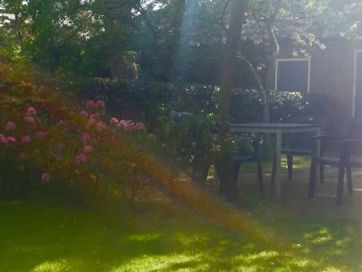 the sun enjoys herself