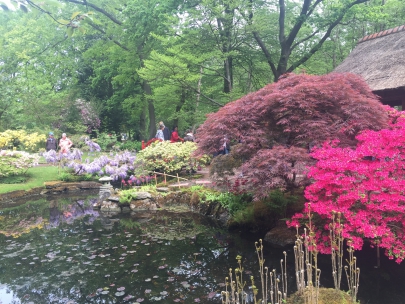 the japanese garden in clingendael