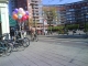hoi balloons