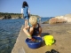 Little marine biologist