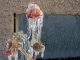 leaving frozen flowers to flaunt their fragile beauty